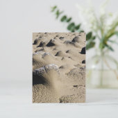 Carte Postale Plage de l'Oregon (Debout devant)