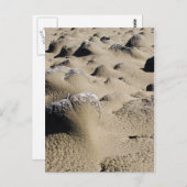 Carte Postale Plage de l'Oregon (Devant / Derrière)