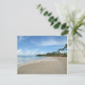 Carte Postale Plage de Luquillo, PR (Debout devant)