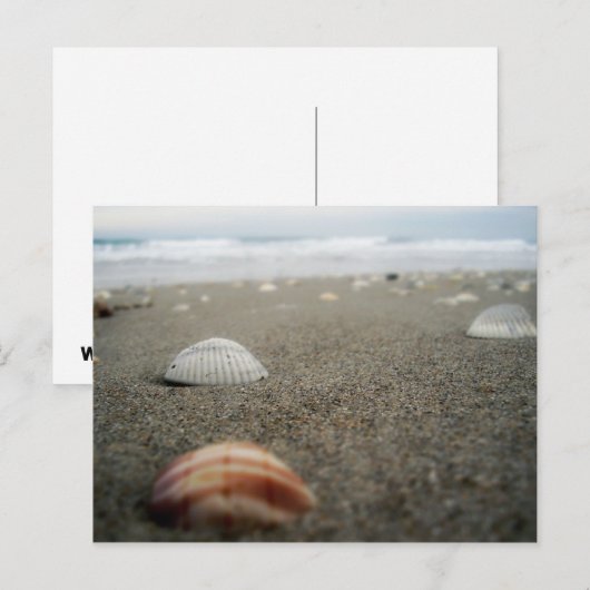 Carte Postale Plage de Melbourne, Floride (Devant / Derrière)