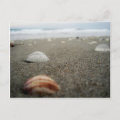 Carte Postale Plage de Melbourne, Floride (Devant)