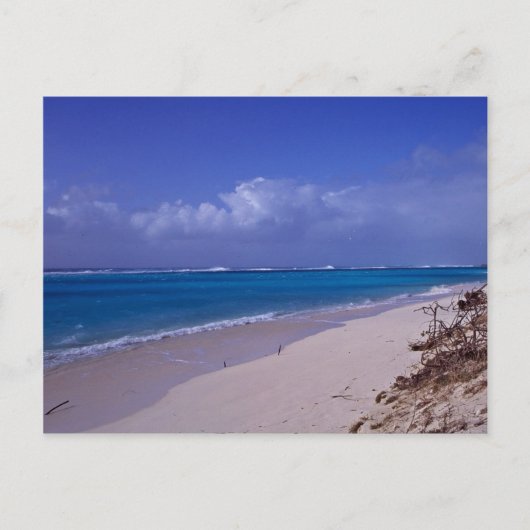 Carte Postale Plage de Midway Atoll (Devant)