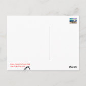 Carte Postale Plage de Newport, la Californie (Dos)