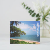 Carte Postale plage de palm cove (Debout devant)
