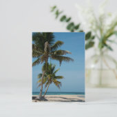 Carte Postale Plage de palmiers et de sable blanc (Debout devant)