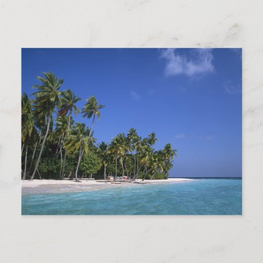 Carte Postale Plage de palmiers, Maldives (Devant)
