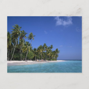 Carte Postale Plage de palmiers, Maldives