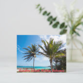 Carte Postale Plage de Paradise Island (Debout devant)