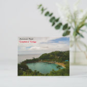 Carte Postale Plage de Parlatuvier (Debout devant)