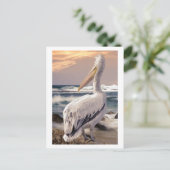 Carte Postale Plage de Pelican Ocean Waves coucher de soleil (Debout devant)