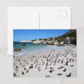 Carte Postale Plage de Penguins Boulders | Afrique du Sud (Devant / Derrière)
