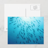 Carte Postale Plage de poissons (Devant / Derrière)