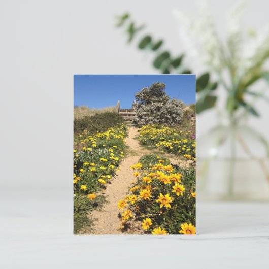 Carte Postale Plage de printemps à 90 miles (90,1 km), Australie (Debout devant)