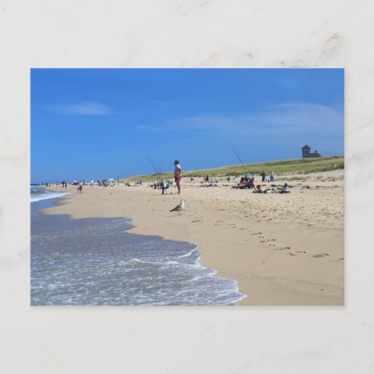 Carte Postale Plage de Race Point Cape Cod National Seashore (Devant)