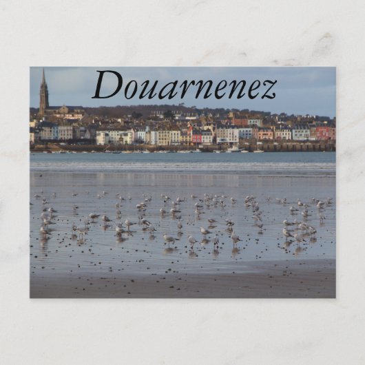 Carte Postale Plage de Ris à Douarnenez (Devant)