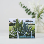 Carte Postale Plage de Rosarito, Mexique (Cactus) (Debout devant)