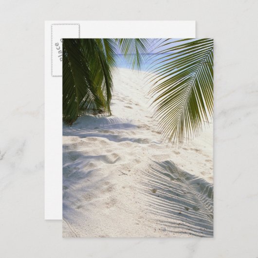 Carte Postale Plage de sable (Devant / Derrière)