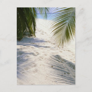 Carte Postale Plage de sable