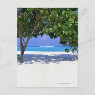 Carte Postale Plage de sable