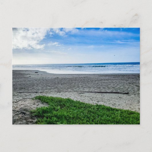 Carte Postale Plage de sable paisible (Devant)