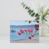 Carte Postale plage de San Diego (Debout devant)