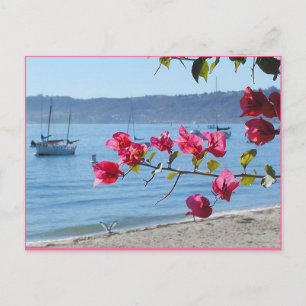 Carte Postale plage de San Diego