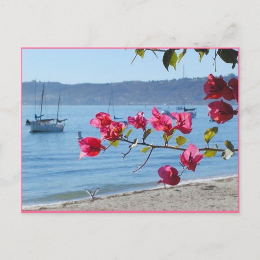 Carte Postale plage de San Diego (Devant)