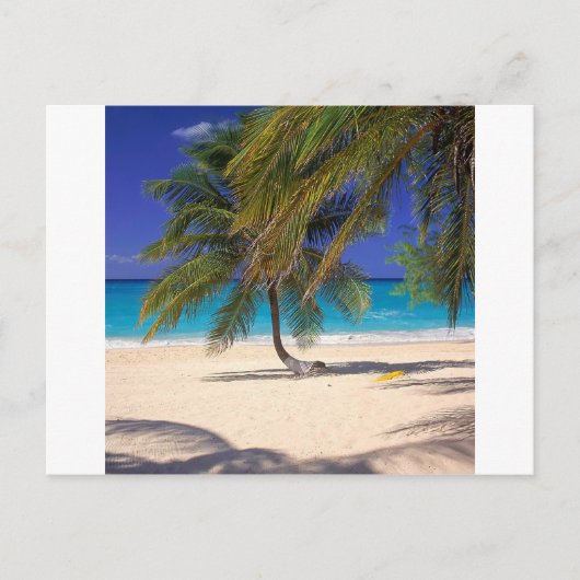 Carte Postale Plage de Seven Mile Grand Cayman (Devant)
