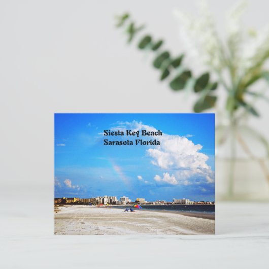 Carte Postale Plage de Siesta Key (Debout devant)