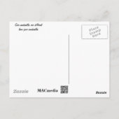 Carte Postale Plage de St Pete Floride (Dos)