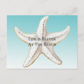 Carte Postale Plage de Starfish Aqua Blue White Gold (Devant)