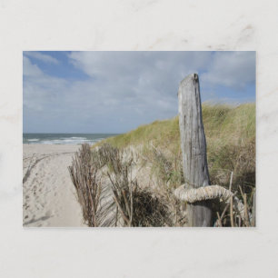Carte Postale Plage de Sylt