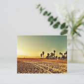 Carte Postale Plage de Venice (Debout devant)