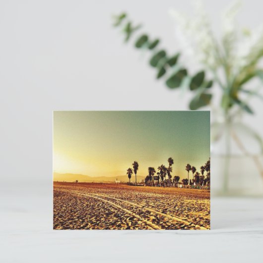 Carte Postale Plage de Venice (Debout devant)