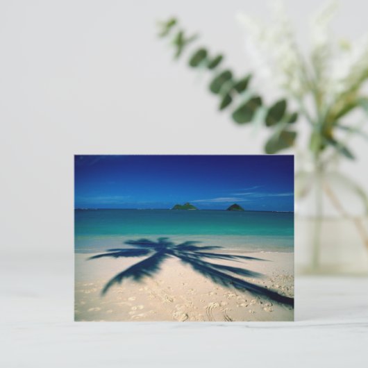 Carte Postale Plage de Virginie (Debout devant)