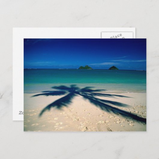 Carte Postale Plage de Virginie (Devant / Derrière)