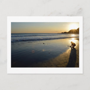 Carte Postale Plage de Yuigahama : Kamakura, Japon