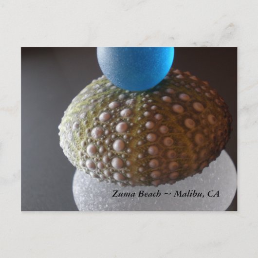 Carte Postale Plage de Zuma (Devant)