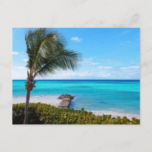 Carte Postale Plage des Caraïbes (Devant)