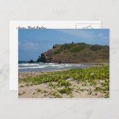 Carte Postale Plage des Caraïbes déserte Scène (Devant / Derrière)