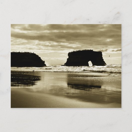 Carte Postale Plage d'état des ponts naturels (Devant)