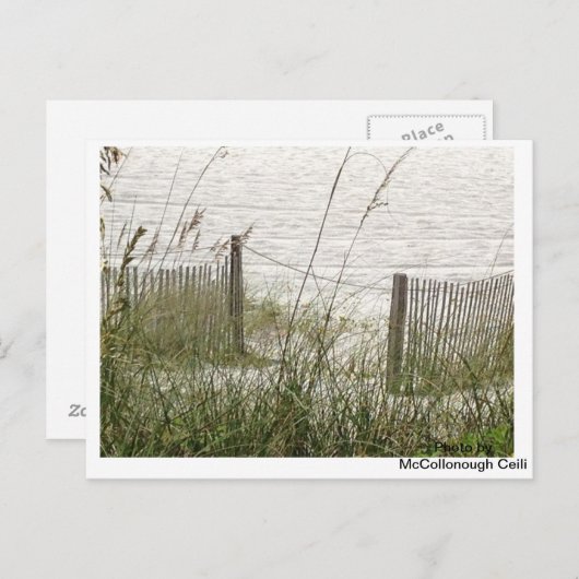 Carte Postale Plage d'herbe et de clôture (Devant / Derrière)