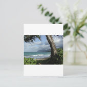 Carte Postale Plage d'Oahu (Debout devant)