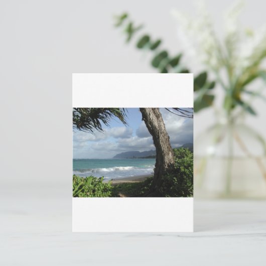 Carte Postale Plage d'Oahu (Debout devant)