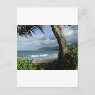 Carte Postale Plage d'Oahu