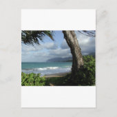 Carte Postale Plage d'Oahu (Devant)