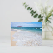 Carte Postale Plage Drapeau de Corralejo (Debout devant)