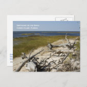 Carte postale Plage Driftwood (Devant / Derrière)