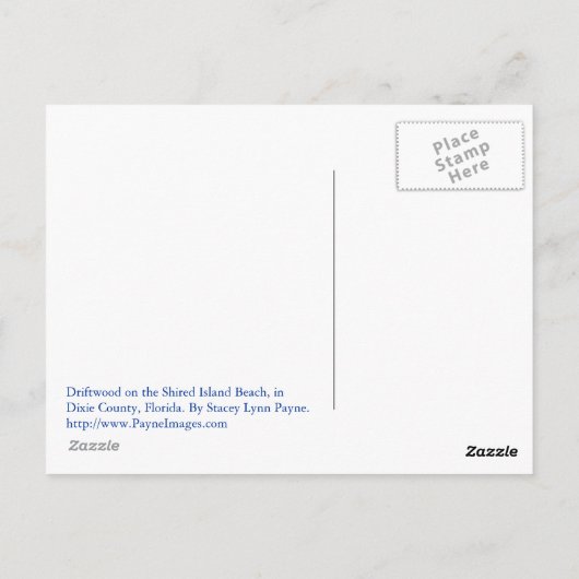 Carte postale Plage Driftwood (Dos)