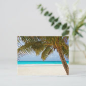 Carte Postale Plage du Paradis tropical (Debout devant)